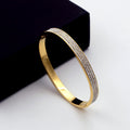 Premium Titanium Steel Crystal Inlay Bangle Bracelet