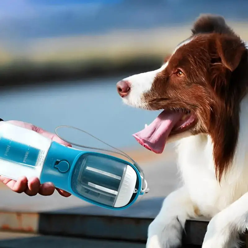 Advanced 3-In-1 Portable Pet Water Bottle